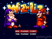 Wiz 'n' Liz 1