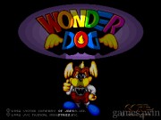 Wonder Dog 1