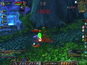 World of Warcraft 13