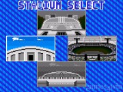 World Series Baseball 95 14