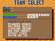 World Series Baseball 5