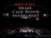 Wrestling Federation: Rage in the Cage 2