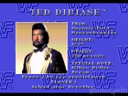 Wrestling Federation: Rage in the Cage 4