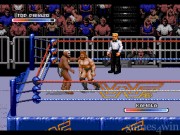Wrestling Federation: Rage in the Cage 6