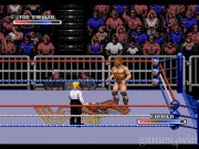 Wrestling Federation: Rage in the Cage 8