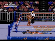 Wrestling Federation: Rage in the Cage 9