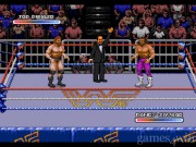 Wrestling Federation: Rage in the Cage 12