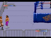 Wrestling Federation: Rage in the Cage 13