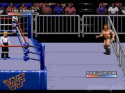 Wrestling Federation: Rage in the Cage 15