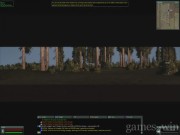 WWII Online: Blitzkrieg 6