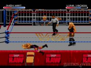WWF RAW 15