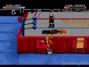 WWF RAW 14