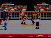 WWF RAW 12