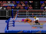 WWF Royal Rumble 15