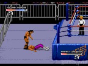 WWF Royal Rumble 14