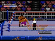 WWF Royal Rumble 13