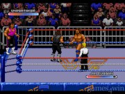 WWF Royal Rumble 8