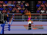 WWF Royal Rumble 5