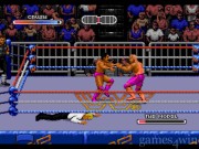 WWF Royal Rumble 3