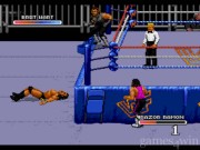 WWF Royal Rumble 2