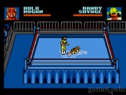 WWF Steel Cage Challenge 2