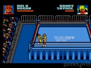 WWF Steel Cage Challenge 3