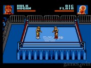 WWF Steel Cage Challenge 4