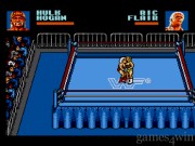 WWF Steel Cage Challenge 5