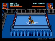 WWF Steel Cage Challenge 6