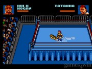 WWF Steel Cage Challenge 7