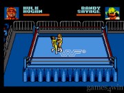 WWF Steel Cage Challenge 8