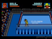 WWF Steel Cage Challenge 9