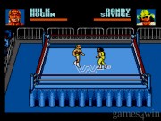 WWF Steel Cage Challenge 10