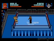 WWF Steel Cage Challenge 11