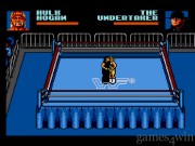 WWF Steel Cage Challenge 12