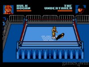 WWF Steel Cage Challenge 13