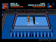 WWF Steel Cage Challenge 14