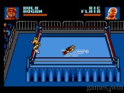 WWF Steel Cage Challenge 15